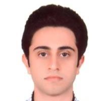 محسن رضائی