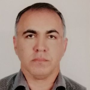 محسن تجلی