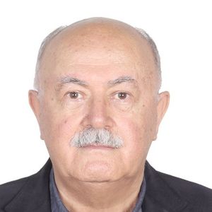 محسن وحیدرودسری
