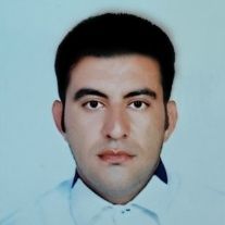 محسن ویسی