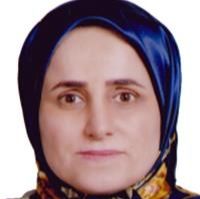 مژگان هانی طباطبائی