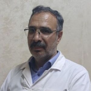 مجیب بیرجندی