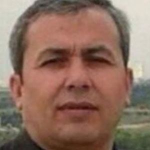 مجتبی امانی