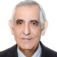 مجتبی فنونی