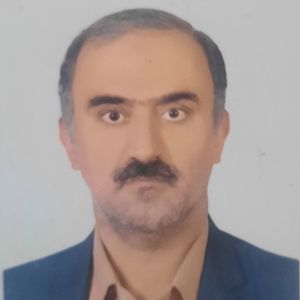 مجتبی حسن خرمی سروستانی