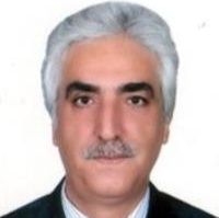 مجتبی شمس