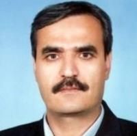 موسی احمدی زرنق