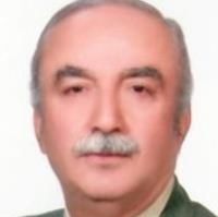 مصطفی انوری