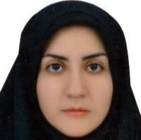 نفیسه خلیل زاده