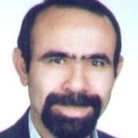 نجف فاضلی