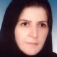 نرمین حسین زاده شهیری