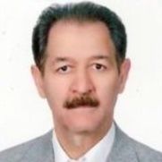 ناصرعلی حمیدی