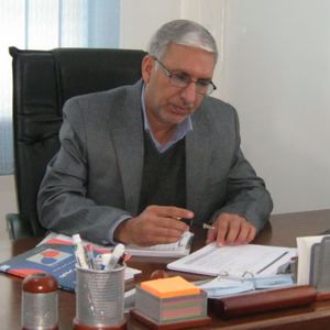 ناصر امینی صدر