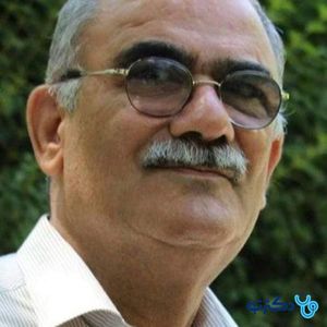 ناصر حقیقی زاده