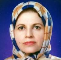 نسرین دخت صفی الدین اردبیلی