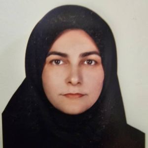 نسرین خالصی