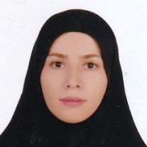 نگار شیخلی