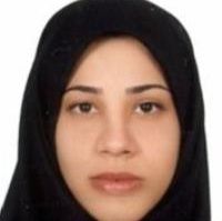 نگین مسافری راد