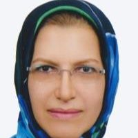 نگین سلطان زاده