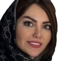 نشاط شیخ المشایخی