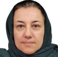 نیلوفر ندائی