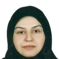 نیلوفر ربیعی