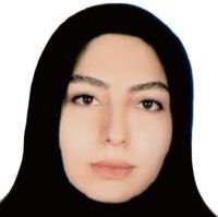 نوشین گلچین