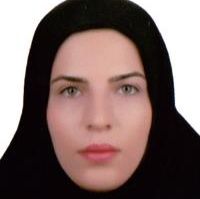 پریسا حسین پور