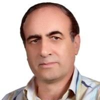 پایدار امینی