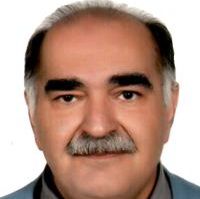 پیمان کریمی گودرزی