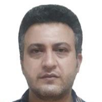 پویا پارسی