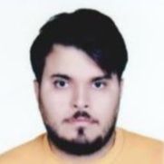 رامین لطفی