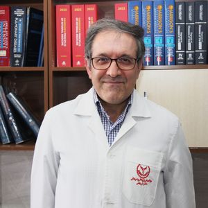 رسول علیان نژادی