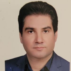 رضا امینی