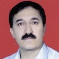 رضا امیری