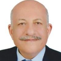 رضا بیات موحد