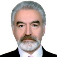 رضا فرزانه