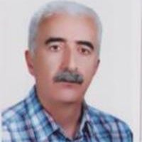 رضا فاتح