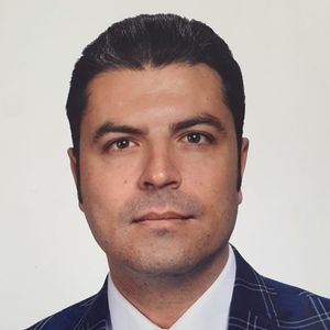 رضا هادی