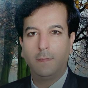 رضا مراد