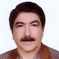 رضا وحیدی