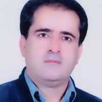 رضا زرین زاده