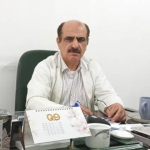 رکن الدین محمدی جو