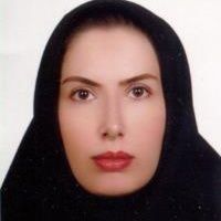 روژین کرمی