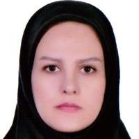 روژین مجتهدزاده