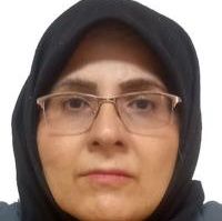 رویا مصلح مقدم