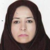 رزیتا ناصری