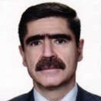 سعید دانائی