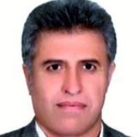 سعید فتحی زاده