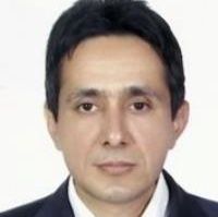 سعید حمیدی